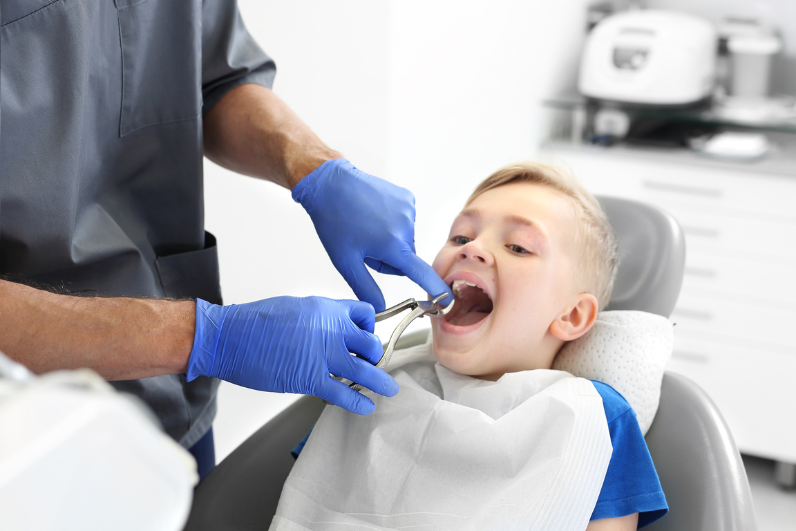 Orthodontics, the doctor does an orthodontic impression